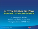 Bài giảng Suy tim EF bình thường: Nguyên nhân, lựa chọn thông số đánh giá - PGS. TS. Nguyễn Anh Vũ