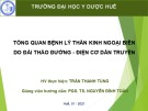 Bài giảng Tổng quan bệnh lý thần kinh ngoại biên do đái tháo đường điện cơ dẫn truyền - Trần Thanh Tùng