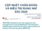 Bài giảng Cập nhật chẩn đoán và điều trị rung nhĩ ESC 2020 - PGS.TS. Lê Thị Bích Thuận