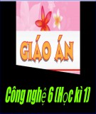 Giáo án Công nghệ 6 (Học kì 1)