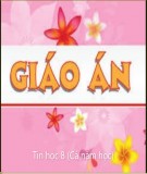 Giáo án Tin học 8