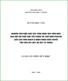 Tóm tắt luận án Tiến sĩ Y học: Nghiên cứu hiệu quả của tiêm hoặc kẹp cầm máu qua nội soi phối hợp với thuốc ức chế bơm proton liều cao tĩnh mạch ở bệnh nhân xuất huyết tiêu hóa do loét dạ dày tá tràng