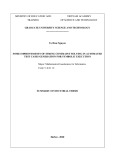 Summary of Mathematical Doctoral Thesis: Some improvements of string contraint solving in automated test cases generation for symbolic execution