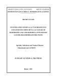 Summary of Medical PhD thesis: Investigation of beta-lactam resistance and genes encoding beta-lactamase of escherichia coli and klebsiella pneumoniae causing bloodstream infections