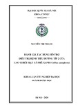 Khóa luận tốt nghiệp đại học ngành Dược học: Đánh giá tác dụng hỗ trợ điều trị bệnh tiểu đường type 2 của cao chiết hạt cà phê xanh (Coffea canephora)