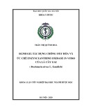 Khóa luận tốt nghiệp đại học ngành Dược học: Đánh giá tác dụng chống oxy hóa và ức chế enzym Xanthine Oxidase in vitro của lá cây Gai (Boehmeria nivea L. Gaudich)