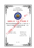 Khóa luận tốt nghiệp Quản trị kinh doanh: Phân tích tình hình tiêu thụ sản phẩm của công ty TNHH một thành viên Phước Kỷ Thừa Thiên Huế