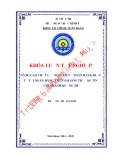 Khóa luận tốt nghiệp Tài chính Ngân hàng: Nâng cao chất lượng dịch vụ Ngân hàng điện tử tại Ngân hàng TMCP Sài Gòn Thương Tín - Chi nhánh Quảng Trị