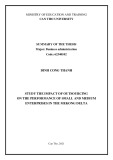 Summary of the thesis Business Administration: Study the impact of outsourcing on the performance of small and medium enterprises in the Mekong delta