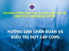 Bài giảng Hướng dẫn chẩn đoán và điều trị cấp COPD