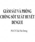 Bài giảng Giám sát và phòng chống sốt xuất huyết Dengue - PGS.TS Trần Như Dương