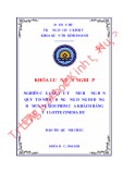 Khóa luận tốt nghiệp Quản trị kinh doanh: Nghiên cứu các yếu tố ảnh hưởng đến quyết định sử dụng ứng dụng di động để mua vé xem phim của khách hàng tại Lotte Cinema Huế