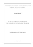 Mathematics Doctoral Thesis: Fuzzy clustering techniques for remote sensing image analysis