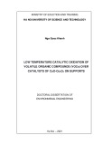 Doctoral Dissertation of Environmenal Engineering: Low temperature catalytic oxidation of volatile organic compounds (VOCs) over catalysts of CuO-Co3O4 on supports