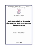 Luận án Tiến sĩ Y học: Nghiên cứu kết quả điều trị tán sỏi niệu quản bằng phương pháp tán sỏi nội soi ngược dòng sử dụng laser Hol: YAG