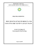 Luận văn Thạc sĩ Kỹ thuật xây dựng: Phân tích ứng xử bất ổn định của tấm tăng cứng chịu tải nén và áp lực ngang