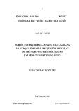 Luận văn Bác sĩ nội trú: Nghiên cứu đặc điểm lâm sàng, cận lâm sàng và kết quả sớm phẫu thuật viêm phúc mạc do thủng đường tiêu hóa sơ sinh tại Bệnh viên Nhi Trung ương