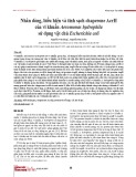 Nhân dòng, biểu hiện và tinh sạch chaperone AcrH của vi khuẩn Aeromonas hydrophila sử dụng vật chủ Escherichia coli