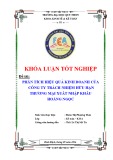 Khoá luận tốt nghiệp: Phân tích hiệu quả kinh doanh của Công ty Trách nhiệm hữu hạn Thương mại Xuất nhập khẩu Hoàng Ngọc