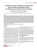 Ảnh hưởng của một số thông số trong quá trình trích ly đến khả năng kháng oxy hóa của dầu hạt chè (Camellia sinensis O. Kuntze)