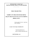 Luận văn Thạc sĩ Kinh tế: Nghiên cứu phần bù rủi ro trong trạng thái ngang giá lãi suất không phòng ngừa