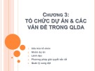 Bài giảng Quản lý dự án một nghề nghiệp mới - Chương 3: Tổ chức dự án và các vấn đề trong quản lý dự án