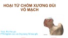 Bài giảng Hoại tử chỏm xương đùi vô mạch - Th.s. Phí Thị Lan