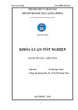 Khoá luận tốt nghiệp: Hoàn thiện công tác kế toán doanh thu , chi phí và xác định kết quả kinh doanh tại Công ty TNHH đầu tư thương mại và xuất nhập khẩu Hoàng Sơn