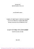 Luận văn Thạc sĩ Lâm nghiệp: Nghiên cứu hiện trạng và đề xuất giải pháp quản lý, kĩ thuật gây trồng Bời lời đỏ (Machilus odoratissima nees) ở tỉnh Kon Tum