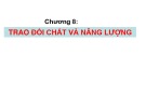 Bài giảng Hóa sinh đại cương - Chương 8: Trao đổi chất và năng lượng