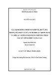 Luận văn Thạc sĩ Hoá học: Xác định đồng thời vitamin B1 và B6 và B12 trong sữa bột, sữa tươi dielac grow plus và dielac alpha gold bằng phương pháp sắc ký lỏng hiệu năng cao