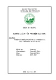 Khóa luận tốt nghiệp Đại học: Nghiên cứu khả năng sản xuất tinh dịch của trâu Chiêm Hóa - Tuyên Quang