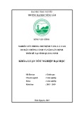 Khoá luận tốt nghiệp Đại học: Nghiên cứu phòng trừ bệnh vàng lá cam do rầy chổng cánh và nấm gây bệnh thối rễ tại tỉnh Quảng Ninh