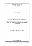 Luận văn Thạc sĩ Hoá học: Nghiên cứu khả năng xử lý ô nhiễm một số kim loại nặng trong môi trường nước bằng vật liệu nano compozit polyanilin - nhôm oxit