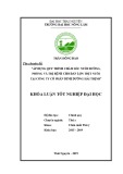 Khoá Luận tốt nghiệp đại học: Áp dụng quy trình chăm sóc nuôi dưỡng. Phòng và trị bệnh cho đàn lợn thịt tại trang trại Công ty Cổ phần dinh dưỡng Hải Thịnh