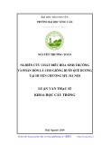 Luận văn Thạc sĩ Khoa học cây trồng: Nghiên cứu chất điều hòa sinh trưởng và phân bón lá cho giống bưởi Quế Dương tại huyện Chương Mỹ, Hà Nội