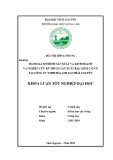 Khoá luận Tốt nghiệp Đại học: Đánh giá mô hình sản xuất và kinh doanh và nghiên cứu kỹ thuật sản xuất rau mầm cải củ tại công ty TNHH Hải Anh tại Thái Nguyên