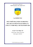 Luận văn Thạc sĩ Quản trị kinh doanh: Phát triển hoạt động marketing mix cho sản phẩm mũ bảo hiểm của Công ty TNHH Nhựa Chí Thành đến 2020