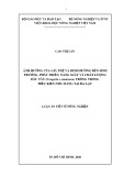 Luận án Tiến sĩ Nông nghiệp: Ảnh hưởng của giá thể và dinh dưỡng đến sinh trưởng, phát triển, năng suất và chất lượng dâu tây (Fragaria x ananassa) trồng trong điều kiện nhà màng tại Đà Lạt