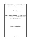 Luận án Tiến sĩ Nông nghiệp: Nghiên cứu bệnh vàng rụng lá cao su Corynespora cassiicola (Bert. & Curtis) Wei và biện pháp quản lý tổng hợp tại Bình Phước