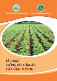 Kỹ thuật trồng và chăm sóc cây đậu tương - ThS. Phạm Thị Xuân