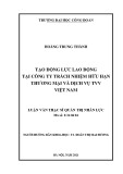 Luận văn Thạc sĩ Quản trị nhân lực: Tạo động lực lao động tại Công ty Trách nhiệm hữu hạn thương mại và dịch vụ TVV Việt Nam