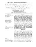 Lựa chọn các kỹ thuật trồng nấm rơm của các nông hộ trồng nấm rơm ở Đồng bằng sông Cửu Long