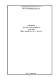 Giáo trình Công nghệ hàn (Nghề: Hàn) - Trường CĐ Cộng đồng Lào Cai