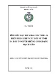 Khóa luận tốt nghiệp ngành Y đa khoa:  Tìm hiểu đặc điểm đa giác willis trên phim chụp cắt lớp vi tính đa dãy ở người không có dị dạng mạch não