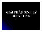 Bài giảng Giải phẫu sinh lý - Bài 2: Giải phẫu sinh lý hệ xương