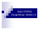 Bài giảng Giải phẫu sinh lý - Bài 1: Đại cương giải phẫu sinh lý