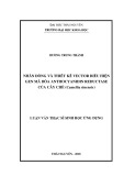 Luận văn Thạc sĩ Sinh học ứng dụng: Nhân dòng và thiết kế vector biểu hiện gen mã hóa anthocyanidin reductase của cây chè (Camellia sinensis)