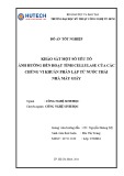Đồ án tốt nghiệp: Khảo sát một số yếu tố ảnh hưởng đến hoạt tính cellulase của các chủng vi khuẩn phân lập từ nước thải nhà máy giấy
