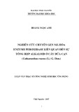Luận văn Thạc sĩ Sinh học ứng dụng: Nghiên cứu chuyển gen mã hóa enzyme peroxidase liên quan đến sự tổng hợp alkaloid ở cây dừa cạn (Catharanthus roseus (L.) G. Don.)